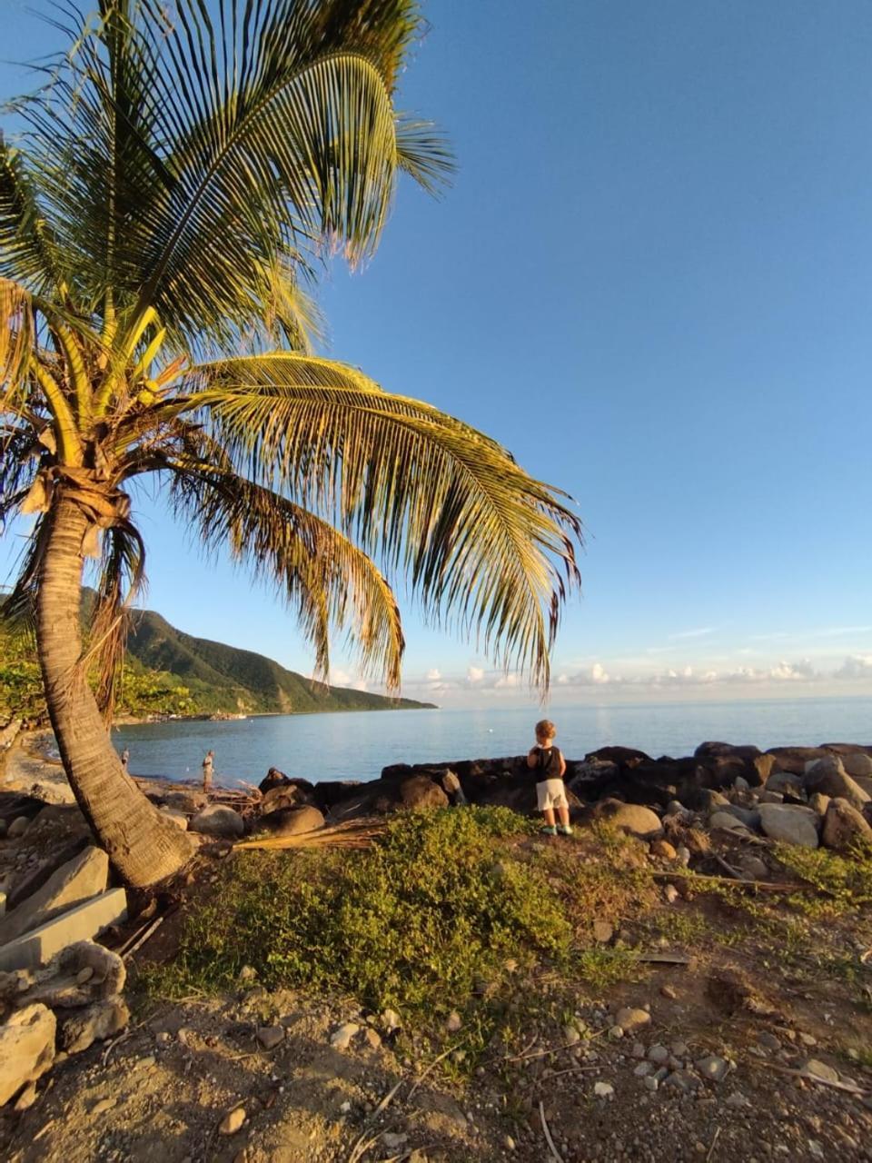 Kaz A Soley - Gite Vue Panoramique Sur La Mer - Plage A 500M Gourbeyre Ngoại thất bức ảnh